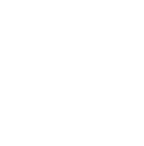 Logo Insitu